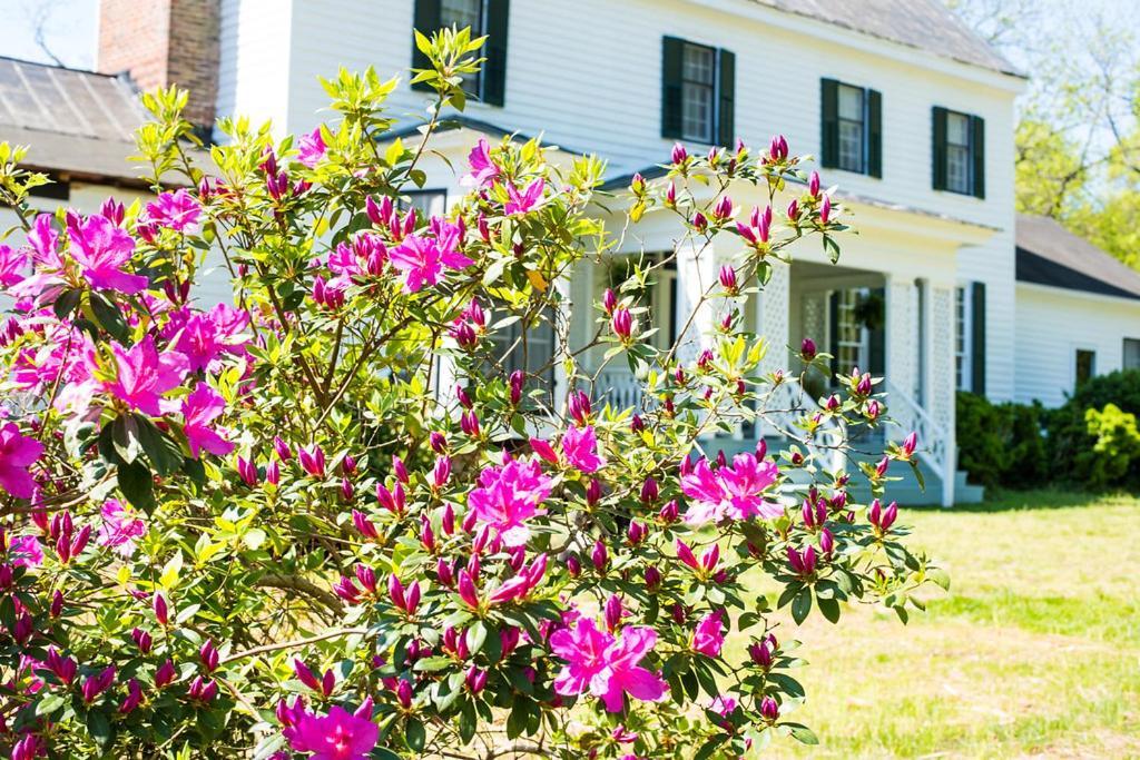 Oak Grove Bed And Breakfast South Boston Exterior foto